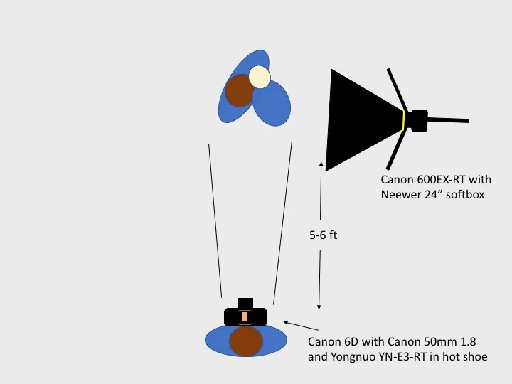 Lighting diagram: one speedlite in a 24-inch softbox set 5 to 6 feet from the subject