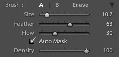 Lightroom adjustment brush settings with Auto Mask checked